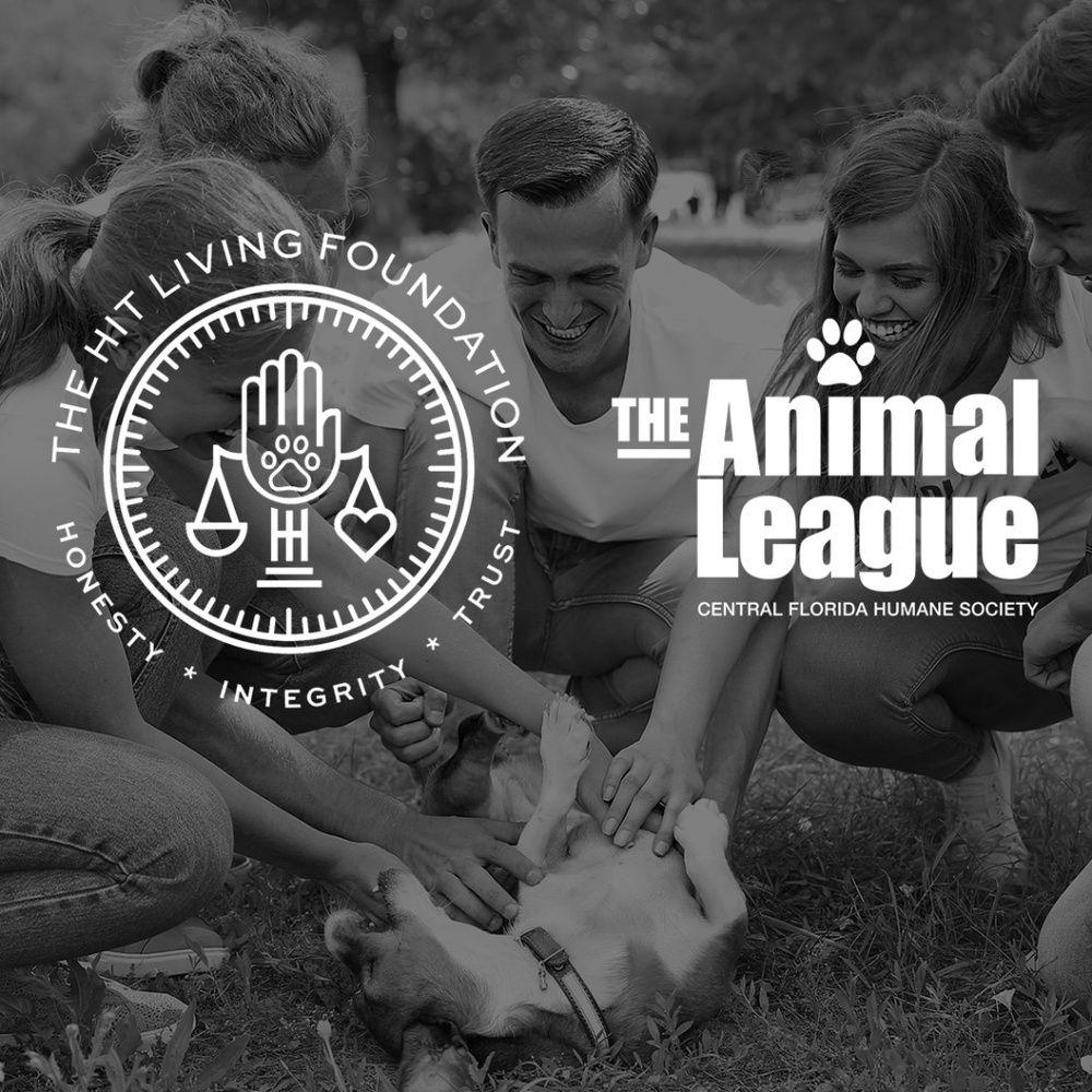 Proceeds donated to animal welfare organizations!
